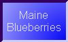 Blueberries